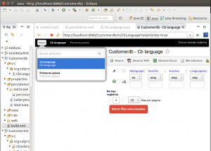 OpenXava Customerdb 02 Selección de módulo