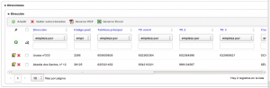 OpenXava Customerdb CbAddresses sin ListProperties