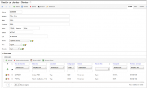 OpenXava Customerdb CbCustomer Detalle opción 1