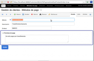 OpenXava Customerdb 03 CbPaymentMethod detalle con nuevo estererotipo memo