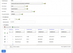 OpenXava Customerdb 06 CbCustomer editando las direcciones