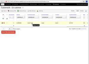 OpenXava Customerdb 06 CbCustomer List