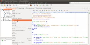 Netbeans Run On Server