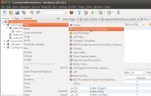 Creando las clases con Entity Classes From Database
