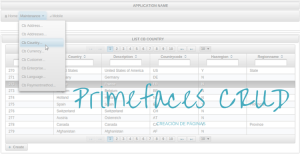 PRIMEFACES CRUD - Creación de páginas