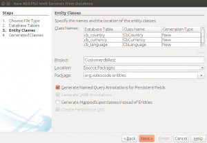 Servicios web RESTFul Java - Nombramos el paquete para las entidades