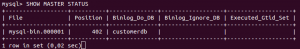 MySQL SHOW MASTER STATUS