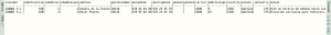 Curso MariaDB - Resultado Select customer y address